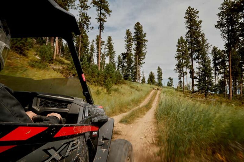 Rapid City: Cement Ridge Lookout UTV Adventure - An In-Depth Look at the UTV Adventure