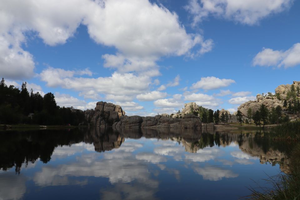 Rapid City: Mt Rushmore Custer State Park & Crazy Horse - Spotting Wildlife in Custer State Park