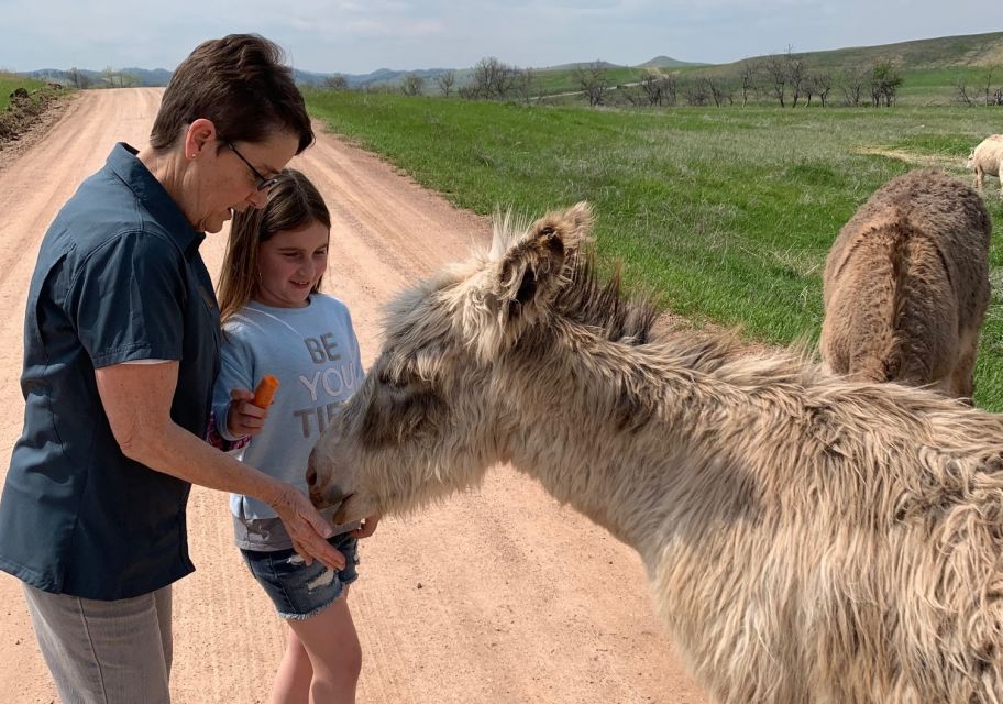 Rapid City: Private Black Hills Monuments Full-Day Tour - Directions