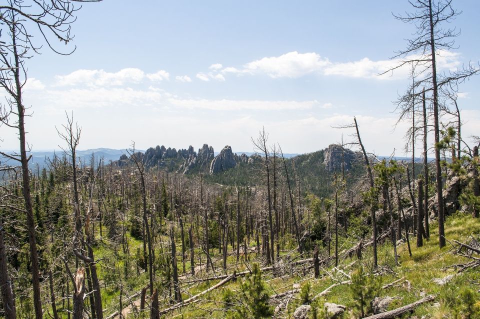 Rapid City: Private Black Hills Monuments Full-Day Tour - Recap