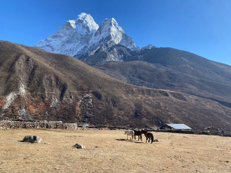 Rapid Everest Base Camp Trek - 9 Days - Participant Restrictions