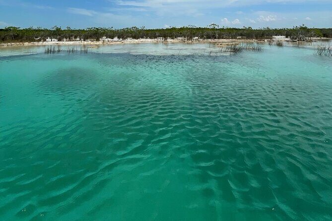 Rapids EN Bacalar Tour from Cancun and Riviera Maya - The Sum Up