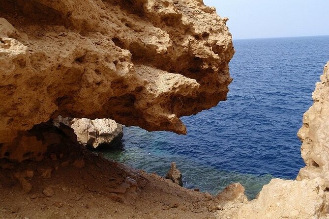 Ras Mohamed National Park by Bus Half Day - Sharm ElSheikh - Frequently Asked Questions