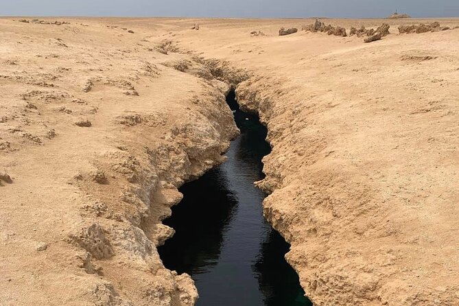 Ras Mohammed National Park Half Day Tour by Bus - Sharm El Sheikh - Customer Experiences