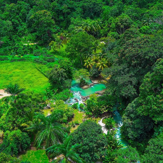 Rasta Safari Atv Experience - Immersive Cultural Experience