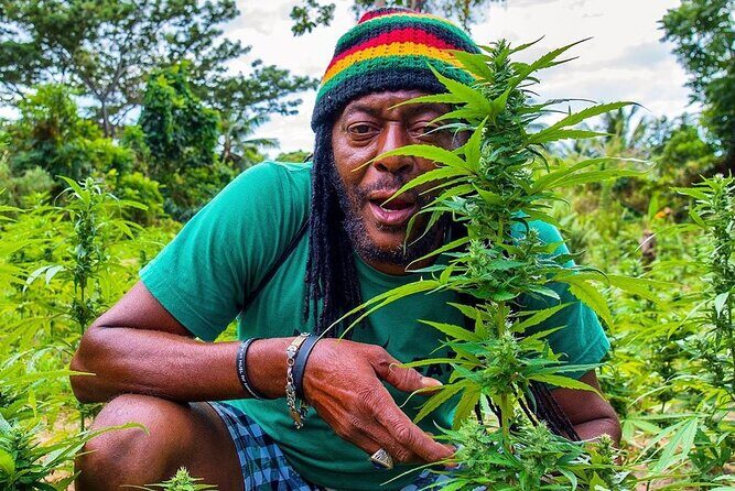 Rastafari Cultural ATV Community Experience from Montego Bay - Who this tour suits best: