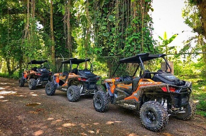 Rastafari Cultural ATV Community Experience from Negril - Frequently Asked Questions