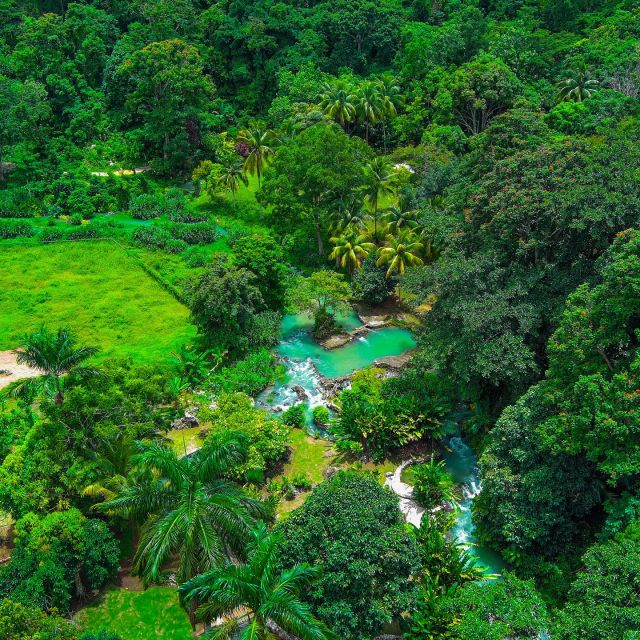 Rastasafari Atv Experience With Private Transportation - Included Experiences