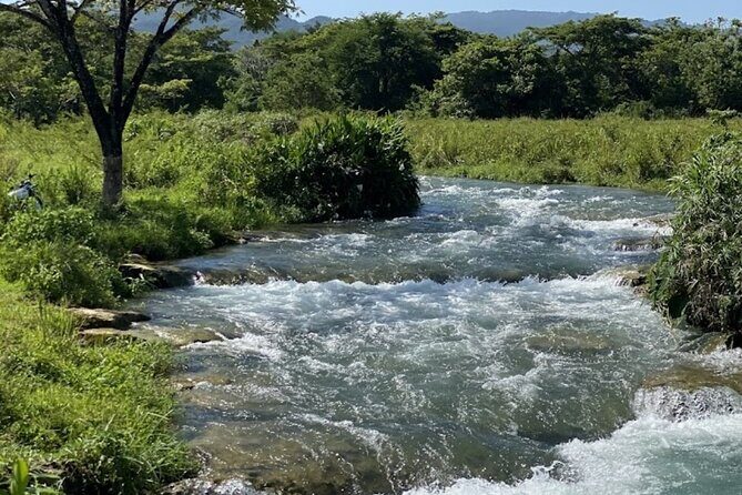 Rastasafari Experience ATV Adventure and Local Day Out - What the Tour Offers and Why It’s Special