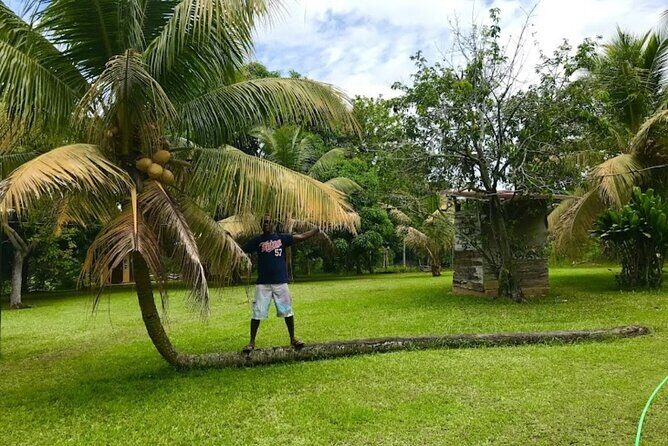 Rastasafari Experience ATV Adventure and Local Day Out - What Sets It Apart: Authenticity and Engagement