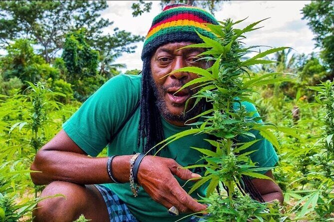 Rastasafari Experience ATV Adventure and Local Day Out - Logistics and Value