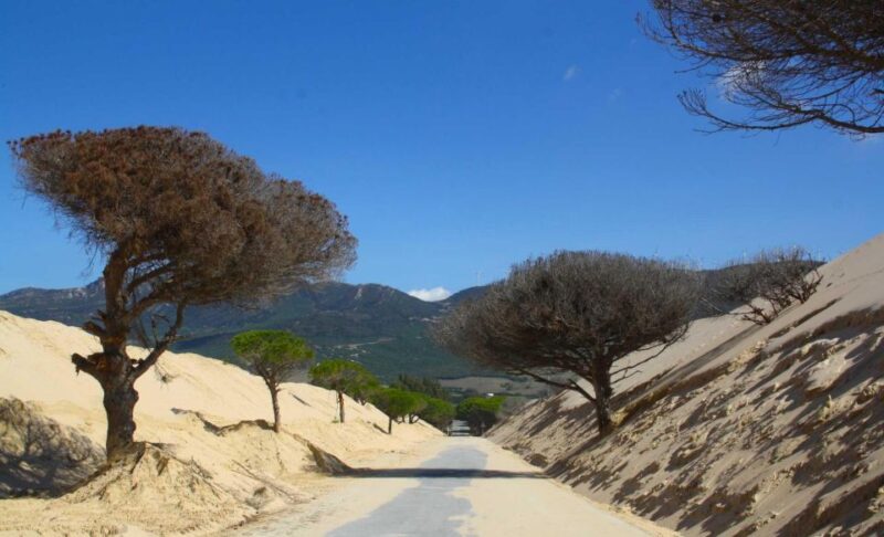 Rate: Ebike Rental Route of the Strait - Experience Highlights