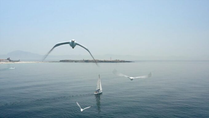 Rate: Sailboat Tour, Snorkelling, Tapas & Drinks - Meeting Point