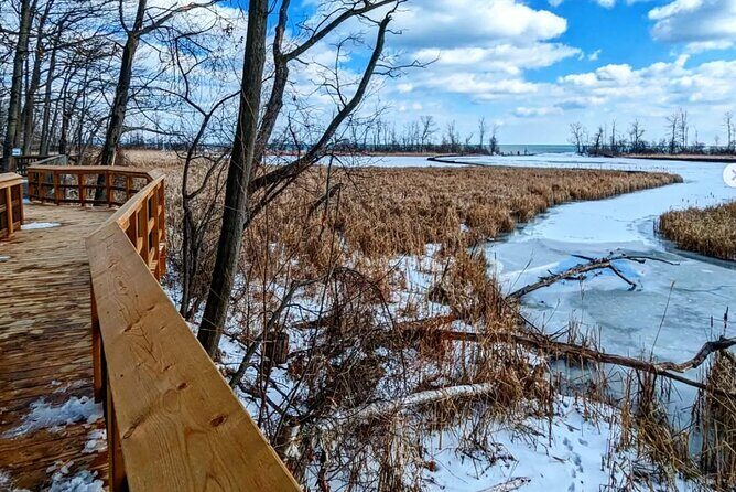 Rattray Marsh Nature Escape - Analyzing the Cost and Value