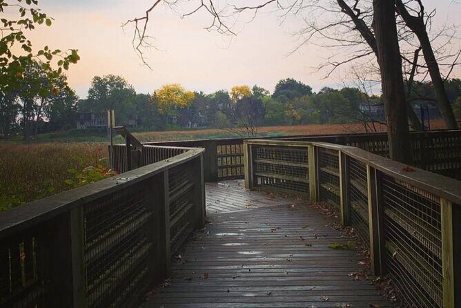 Rattray Marsh Nature Escape - Practical Tips for Your Visit