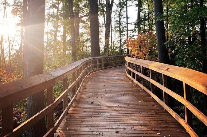Rattray Marsh Nature Escape - Who Should Consider This Tour?