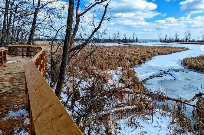 Rattray Marsh Nature Escape - FAQ