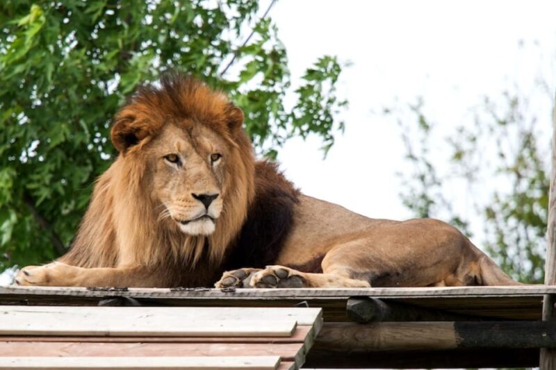 Ravenna: Safari Ravenna Entrance Ticket - Wildlife Experience