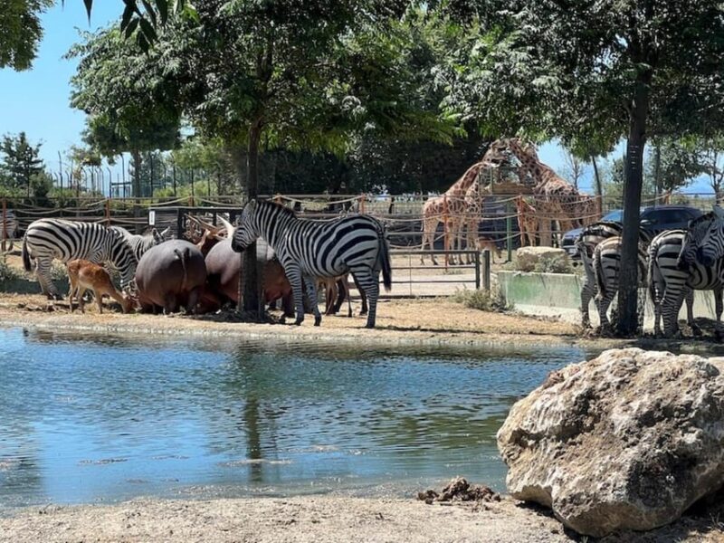 Ravenna: Safari Ravenna Entrance Ticket - Accessibility and Amenities