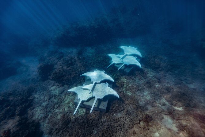 Rayglass Protector - Standard Private Charter - Whitsundays - Final Thoughts: Who Is This Tour For?