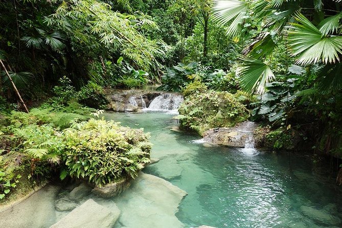 Reach Falls Adventure Tour From Kingston - Tour Overview
