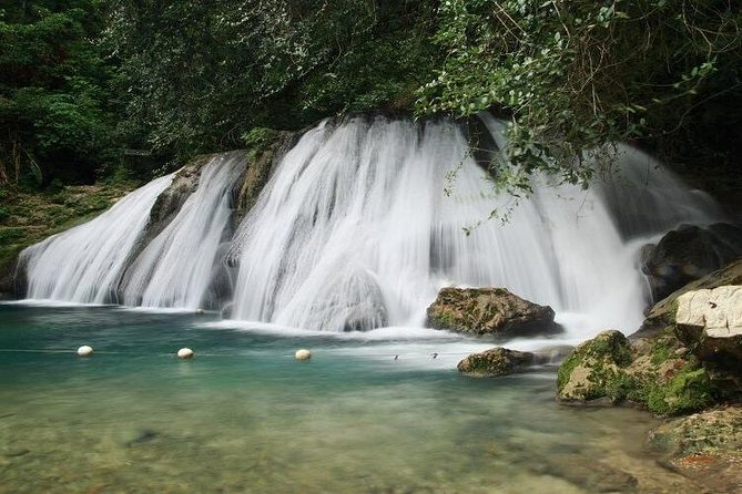 Reach Falls Adventure Tour From Kingston - Planning Your Visit