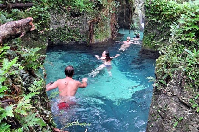 Reach Falls Adventure Tour From Port Antonio - Good To Know