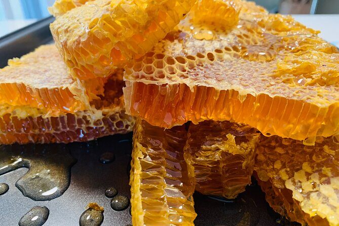 Reagans Honey Beekeeping Adventure - Is It Worth The Price?