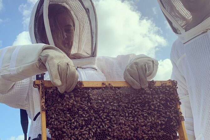 Reagans Honey Beekeeping Adventure - FAQ