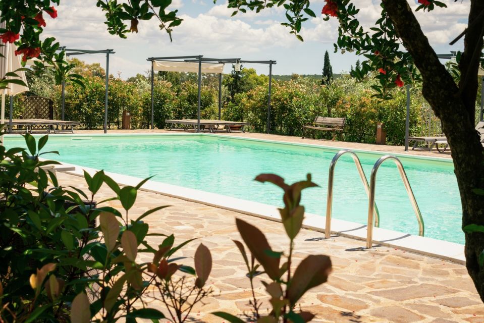 Real Farmers Lunch at Olive Farm in the Italian Countryside - Frequently Asked Questions