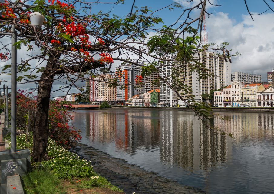 Recife: City Tour Recife & Olinda - Tour Feedback and Ratings