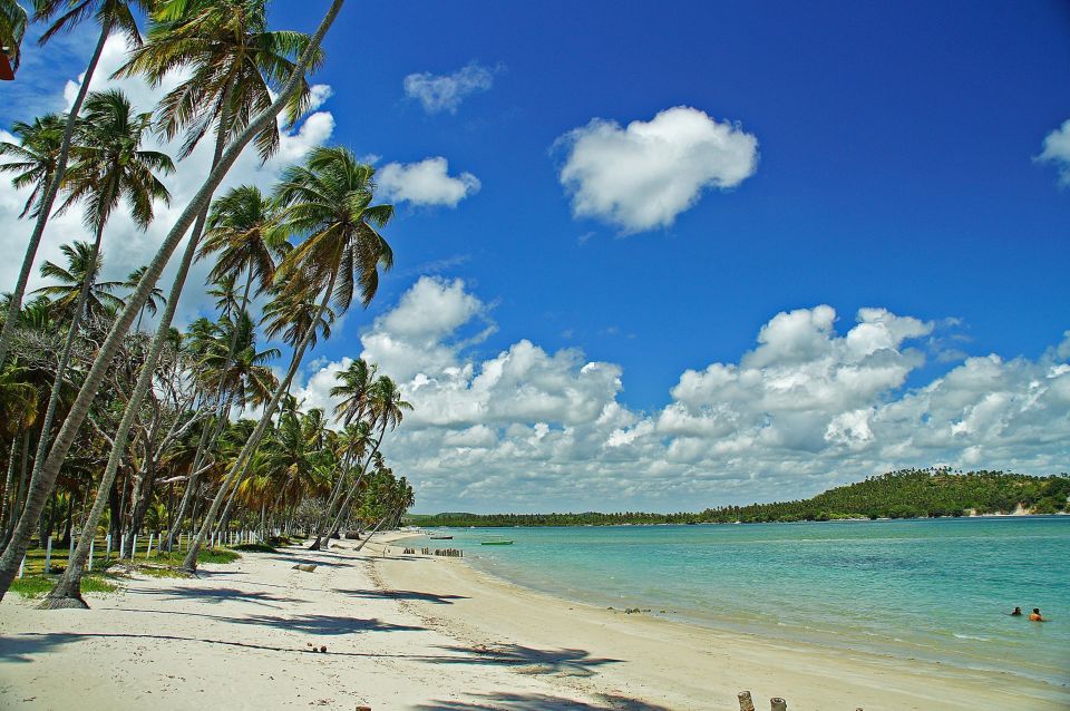 Recife: Tour to Carneiros With Catamaran Ride - Key Points