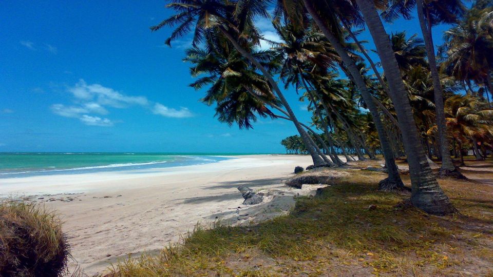 Recife: Tour to Carneiros With Catamaran Ride - Frequently Asked Questions