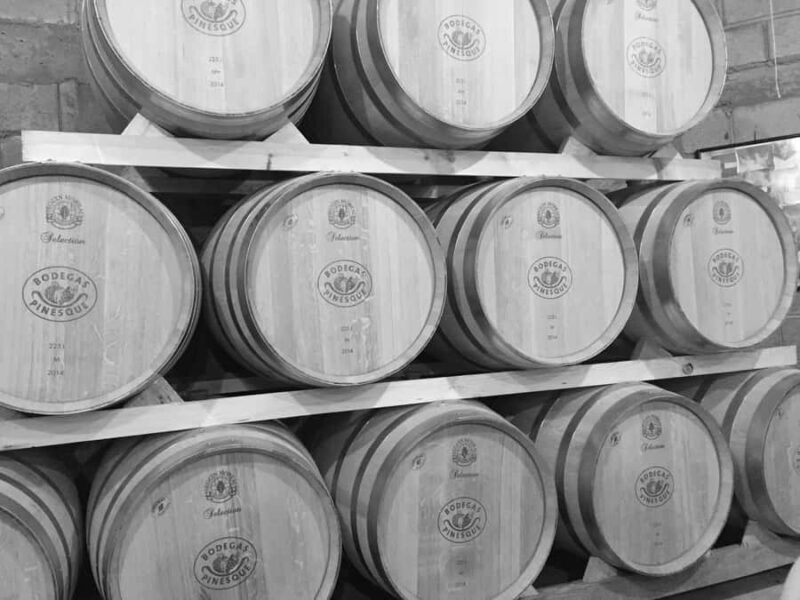 Recorrido + 1 vino / Tour + 1 wine - An Honest Look at the Experience