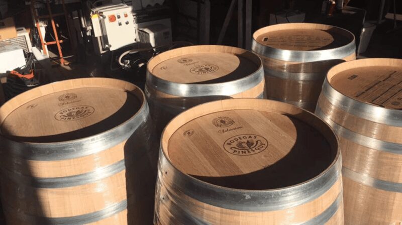 Recorrido + 3 vinos + Maridaje/Tour + 3 wines + Cheese board - Food Pairings: Cheese and Charcuterie