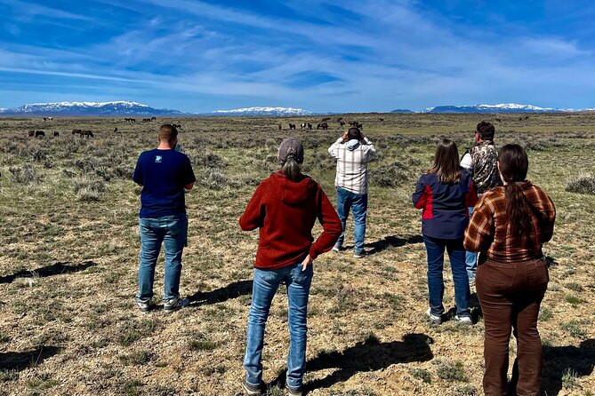 Red Canyon Wild Mustang Safari Review - Frequently Asked Questions