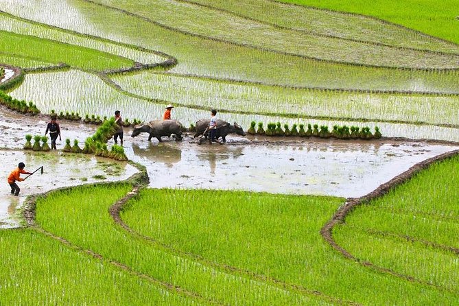 Red Dao Village Trek and Herbal Bath - Trek Itinerary