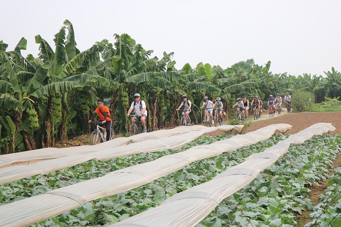Red River Island Biking Expelore, Backroad, Rural Villages Farm - Tour Overview