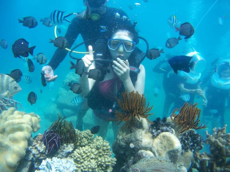 Red River Tour - Scuba Diving At Roi Island Phu Quoc - Key Points