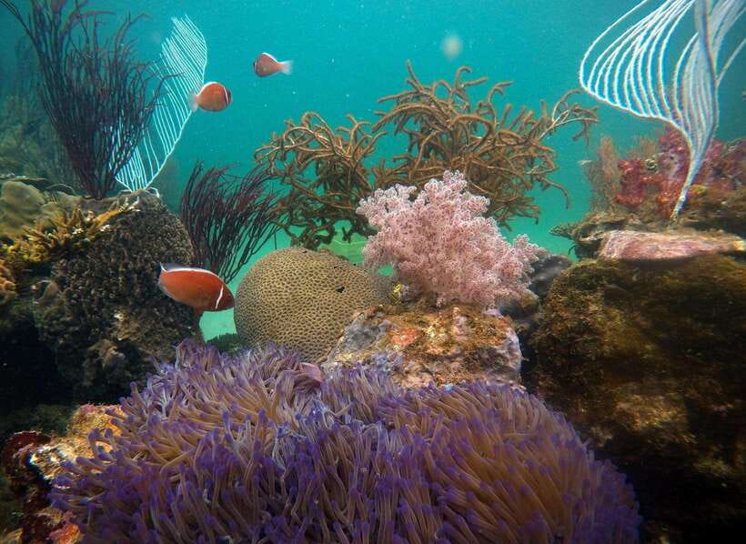 Red River Tours - Sea Walking Experience in Phu Quoc - Key Points