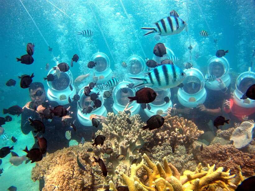 Red River Tours - Sea Walking Experience in Phu Quoc - Frequently Asked Questions