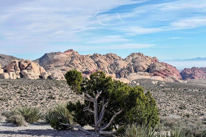 Red Rock Canyon and Hoover Dam Day Trip from Las Vegas - Who Is This Tour Best For?