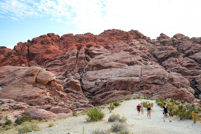 Red Rock Canyon Hiking Tour With Transport From Las Vegas - Important Information