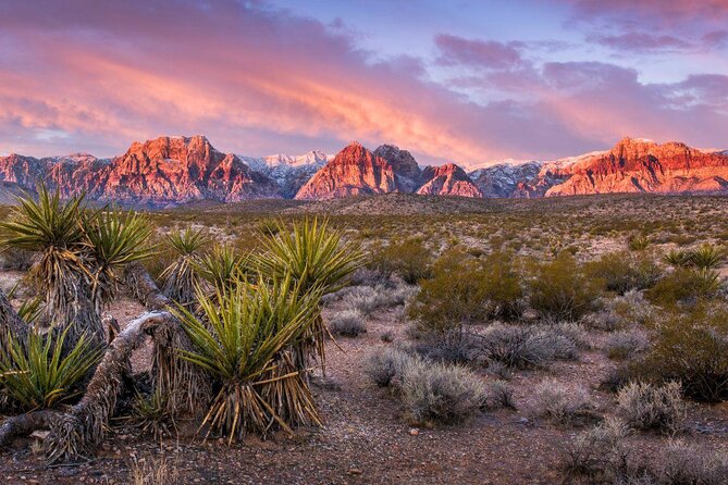 Red Rock Canyon Private Guided Trike Tour - Good To Know