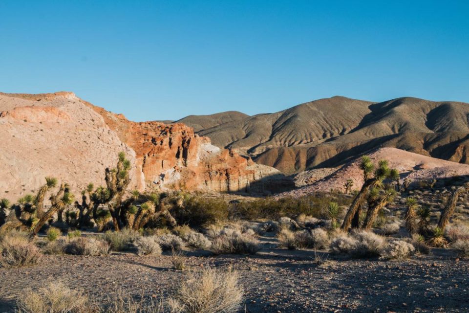 Red Rock Canyon Self-Guided Driving Audio Tour - Unique Features