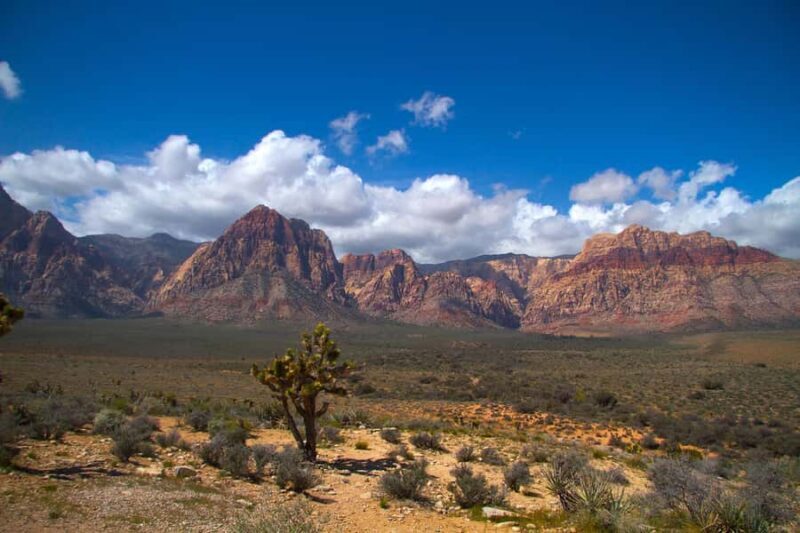 Red Rock Canyon, Seven Magic Mountains, Nelson Ghost Town - An In-Depth Look at the Tour Experience