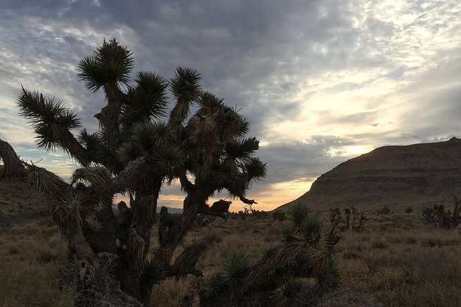 Red Rock Canyon Sunset Horseback Ride and Barbeque Dinner - Inclusions