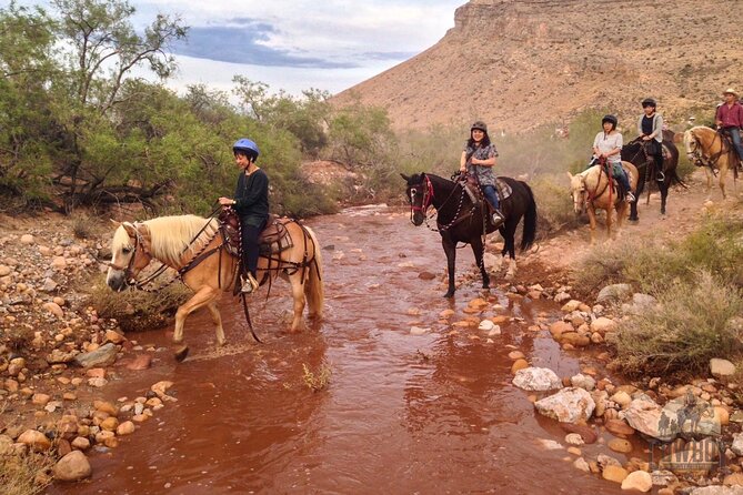 Red Rock Canyon Sunset Horseback Ride and Barbeque Dinner - Frequently Asked Questions