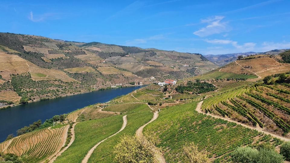 Reduced Mobility Visit the Douro Valley From Porto - Amarante