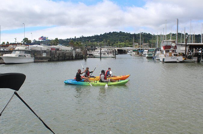 Redwood City Double Kayak Rental - What To Expect on Your Paddle